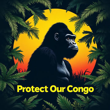 Raising Awareness for the Congo: Our Commitment to Change